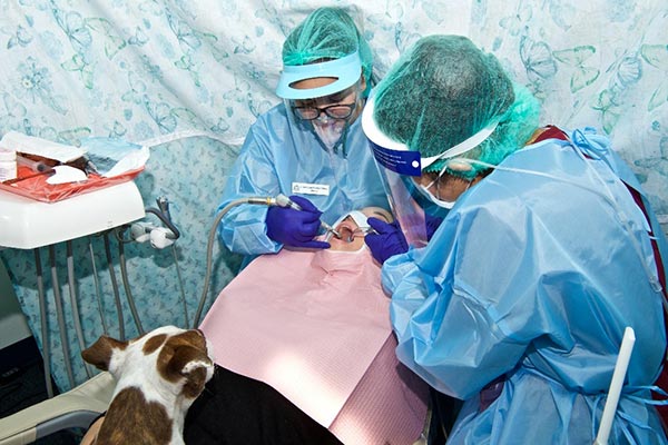 Family Dog Sits With Patient During Dental Treatment